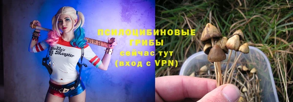 индика Арсеньев
