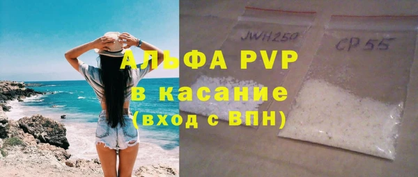 индика Арсеньев