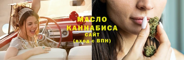 индика Арсеньев