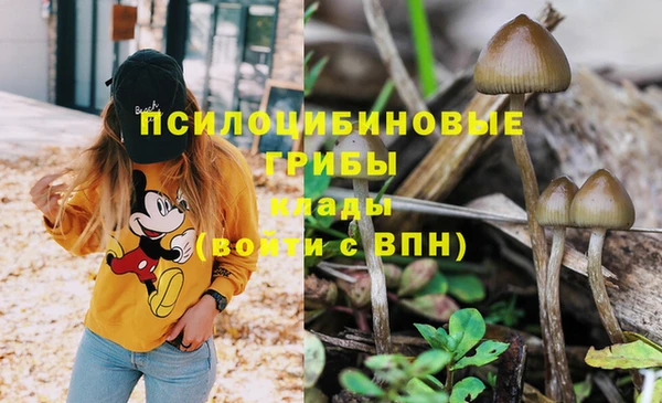 индика Арсеньев