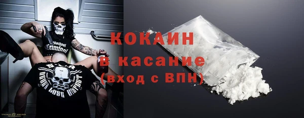 индика Арсеньев
