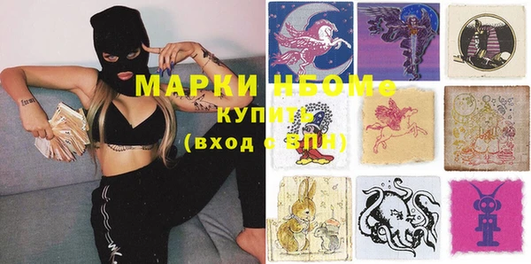 индика Арсеньев