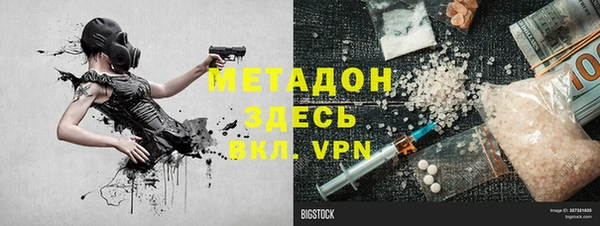 индика Арсеньев