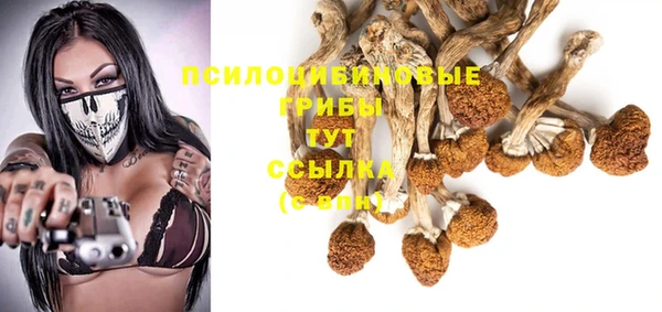 твердый Армянск