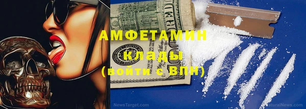 индика Арсеньев