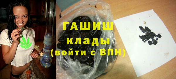 индика Арсеньев